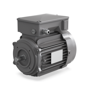 Kit moteur de rechange EM18/28 750W, A36315756 Kit moteur de rechange EM18/28 750W, A36315756