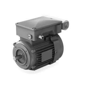 Kit moteur de rechange EM18 1Ph 115/230V, A36315754 Kit moteur de rechange EM18 1Ph 115/230V, A36315754